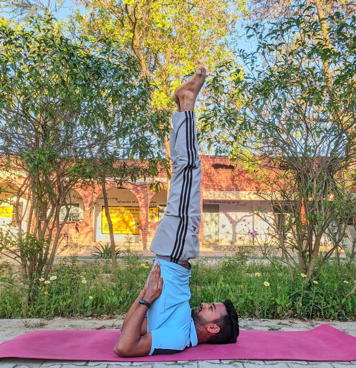 Yoga Teacher in Hisar   